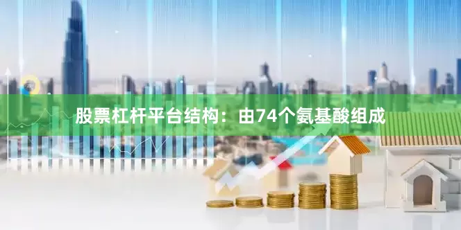 股票杠杆平台结构：由74个氨基酸组成
